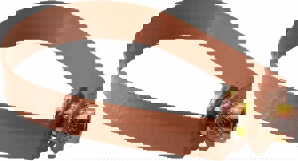 Emlok Swivel Ring Hanger: 2